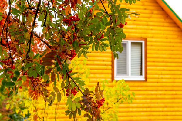 Cost of Garden Window Replacement in Deltona